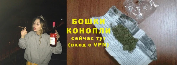 ГАЛЛЮЦИНОГЕННЫЕ ГРИБЫ Белокуриха