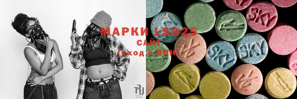 ГАЛЛЮЦИНОГЕННЫЕ ГРИБЫ Белокуриха