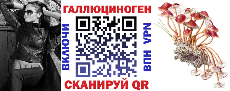 нарко площадка как зайти  Воскресенск  Галлюциногенные грибы мицелий 